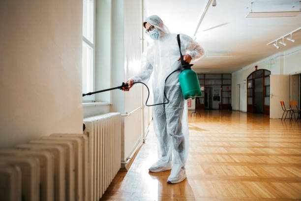 Real Estate Pest Inspections in Woodbury Heights, NJ